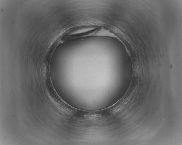 X0000072500448200608041445