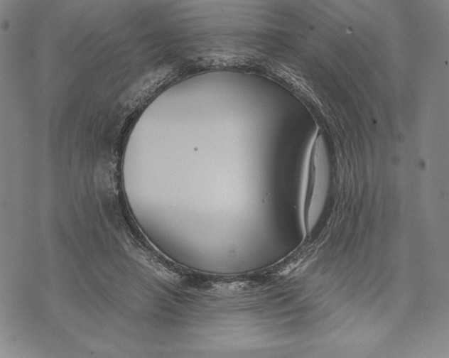 X0000072500450200608041445