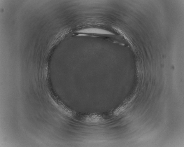 X0000072500451200608041445