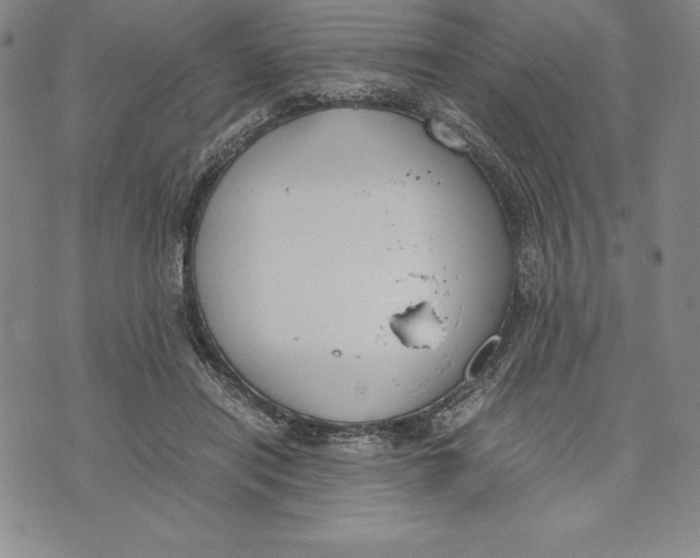 X0000072500454200608041445