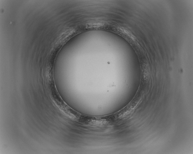 X0000072500455200608041445