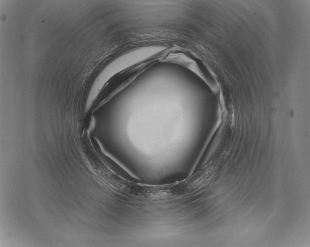 X0000072500456200608041445