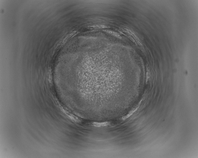 X0000072500457200608041445