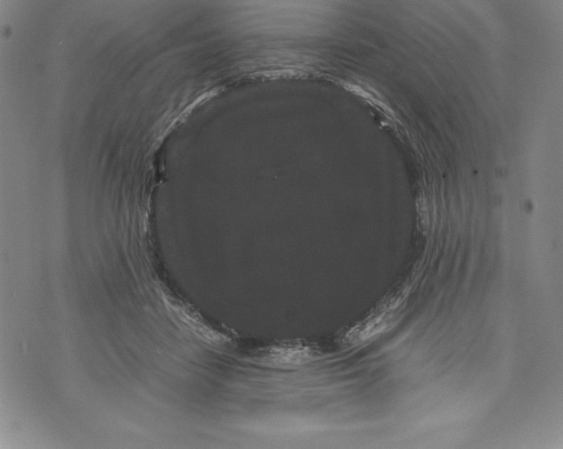 X0000072500458200608041445