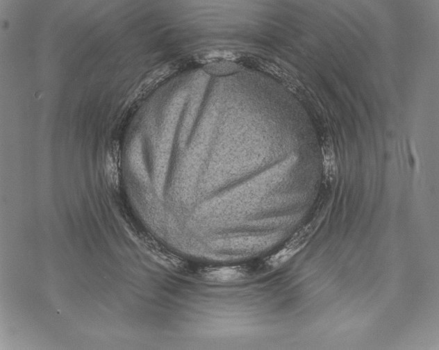 X0000072500460200608041445