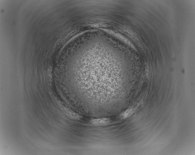 X0000072500461200608041445