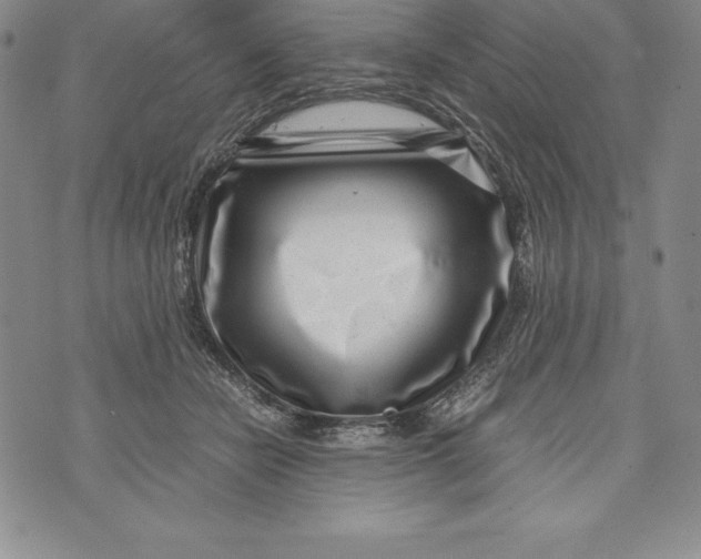 X0000072500462200608041445