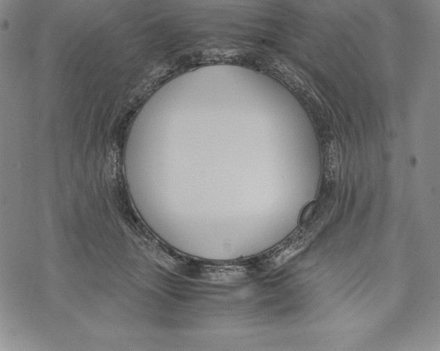 X0000072500463200608041445