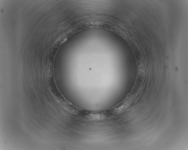 X0000072500464200608041445