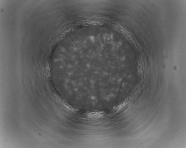 X0000072500465200608041445