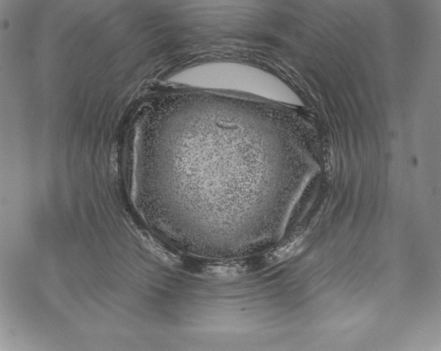 X0000072500466200608041446