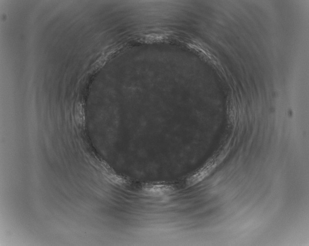 X0000072500467200608041446