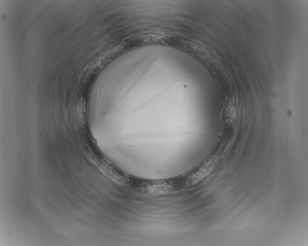 X0000072500468200608041446