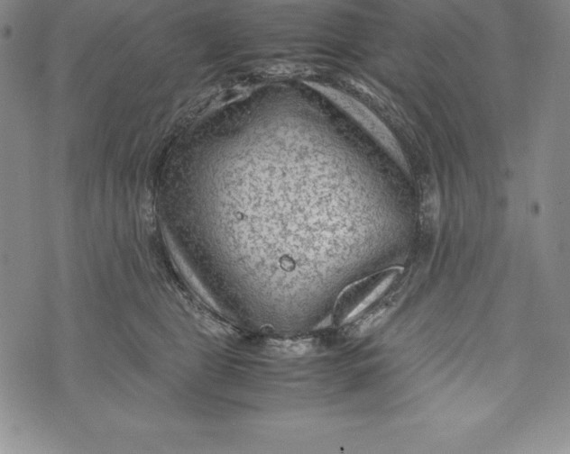 X0000072500469200608041446