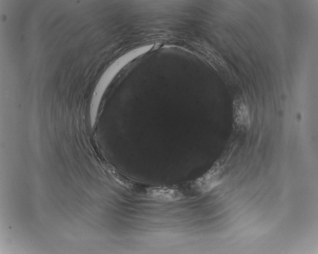 X0000072500471200608041446