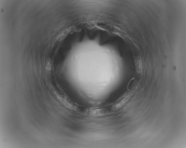 X0000072500472200608041446