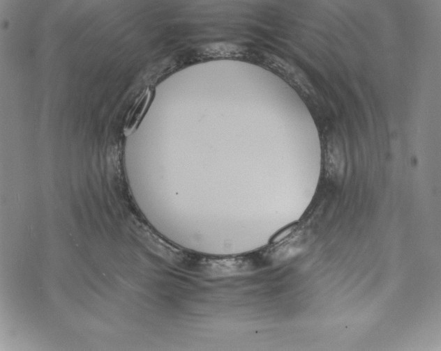 X0000072500473200608041446