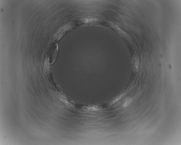 X0000072500475200608041446