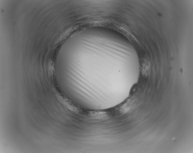 X0000072500476200608041446