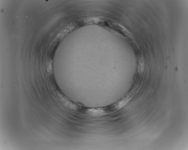 X0000072500477200608041446