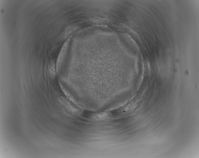 X0000072500479200608041446