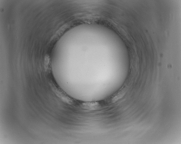 X0000072500480200608041446