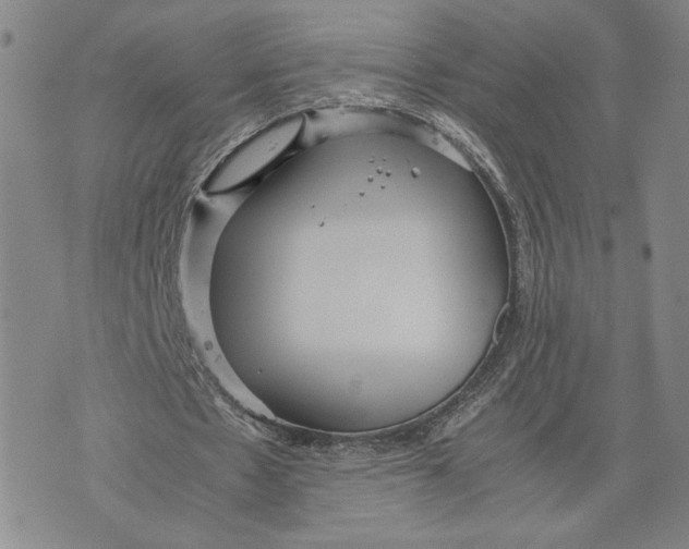 X0000072500481200608041445