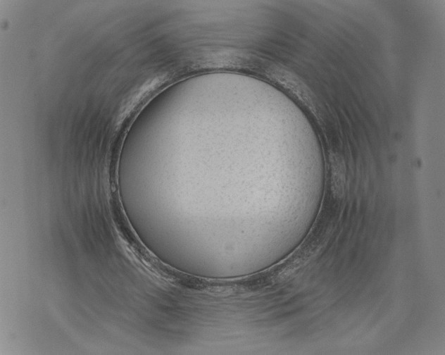 X0000072500482200608041445