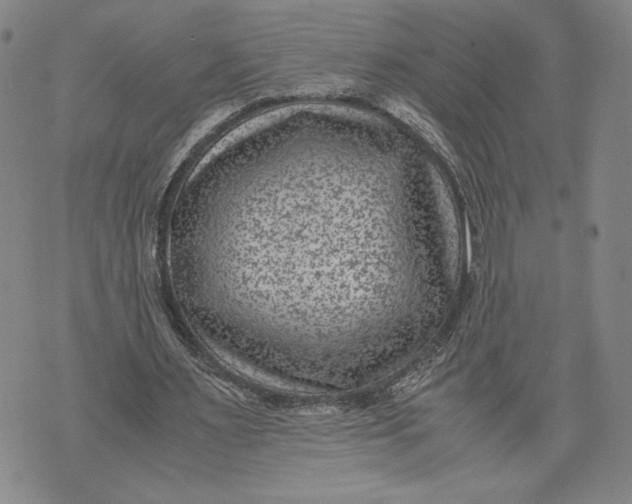 X0000072500483200608041445