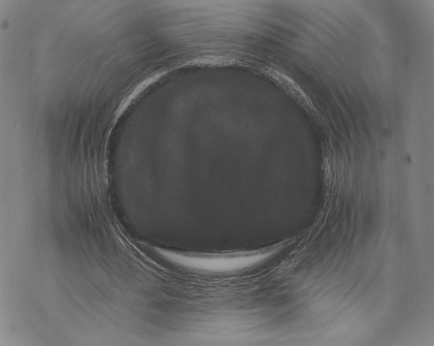 X0000072500484200608041445