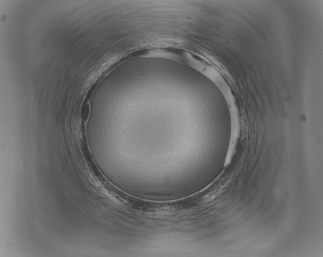 X0000072500485200608041445