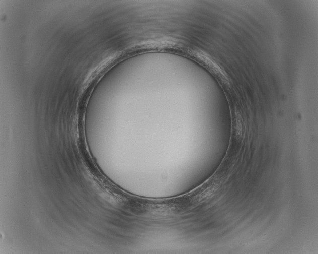 X0000072500486200608041445