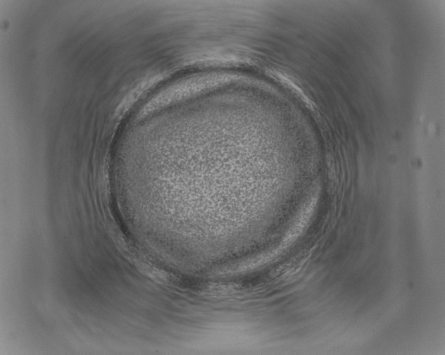 X0000072500487200608041445