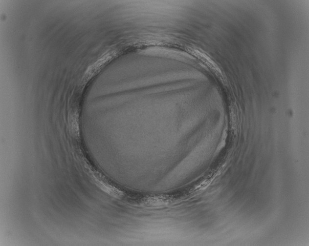 X0000072500489200608041445