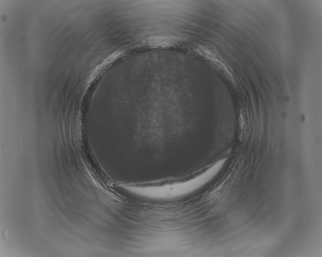 X0000072500492200608041445