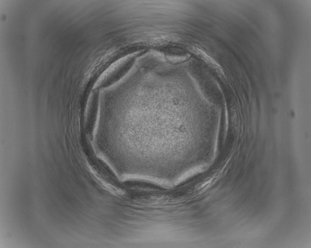 X0000072500493200608041445