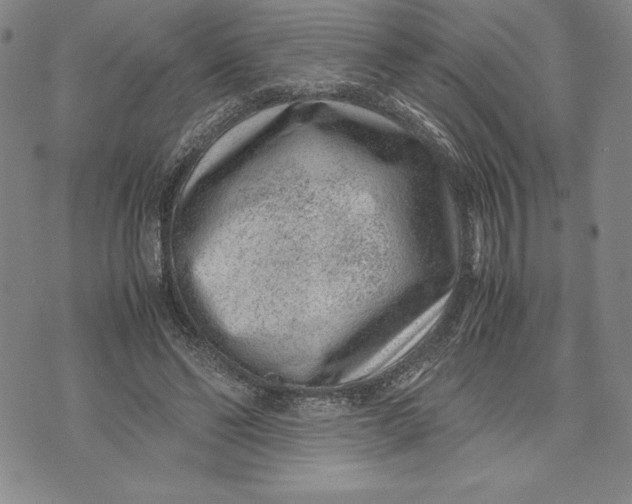 X0000072500494200608041445