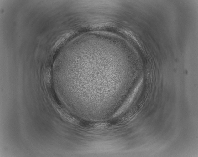 X0000072500495200608041445