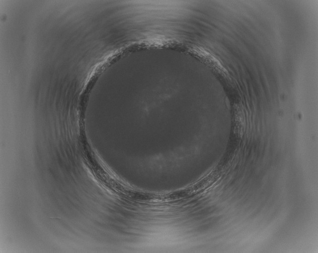 X0000072500496200608041445