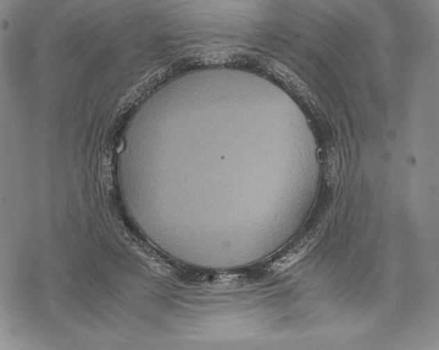 X0000072500497200608041445