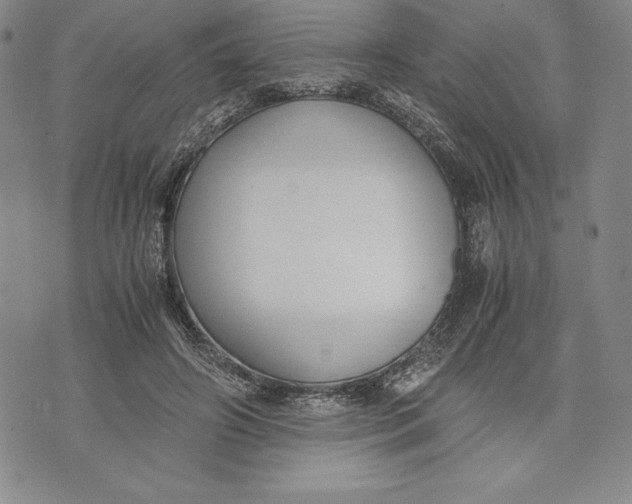 X0000072500498200608041445