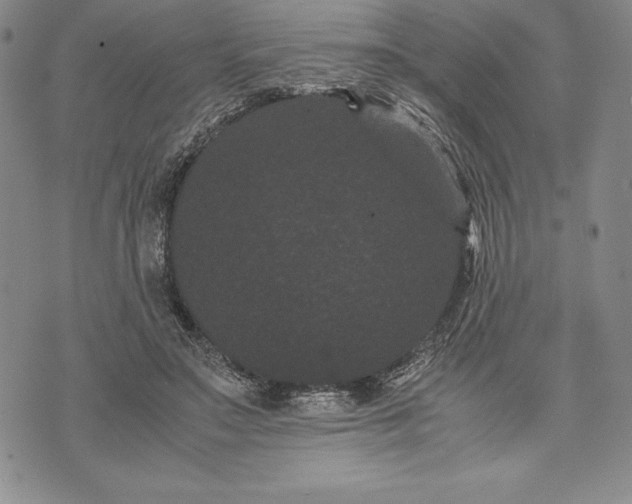 X0000072500499200608041445