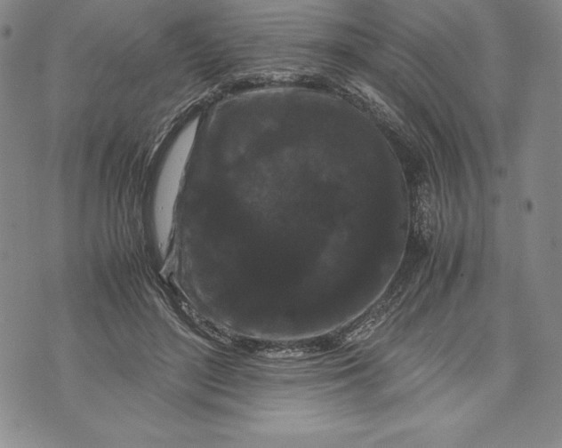 X0000072500500200608041445