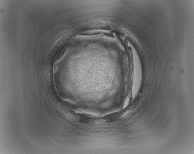 X0000072500501200608041445