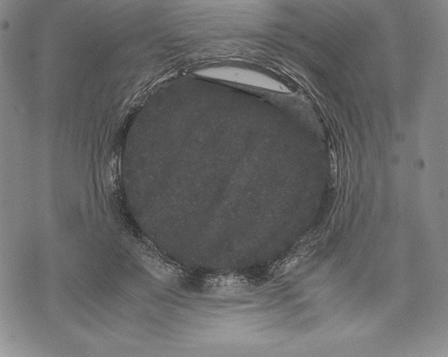 X0000072500503200608041445