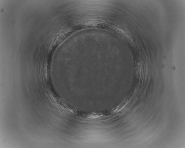 X0000072500504200608041445