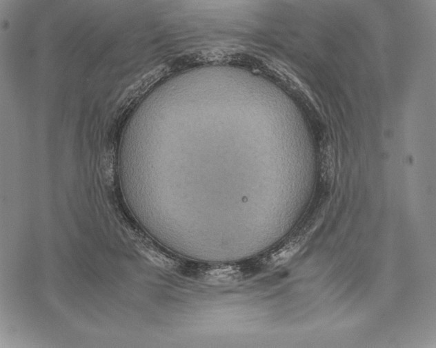 X0000072500505200608041445