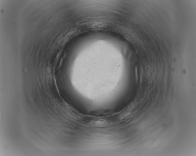 X0000072500506200608041445