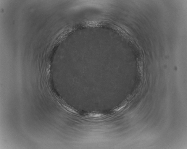 X0000072500507200608041445