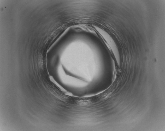 X0000072500508200608041445